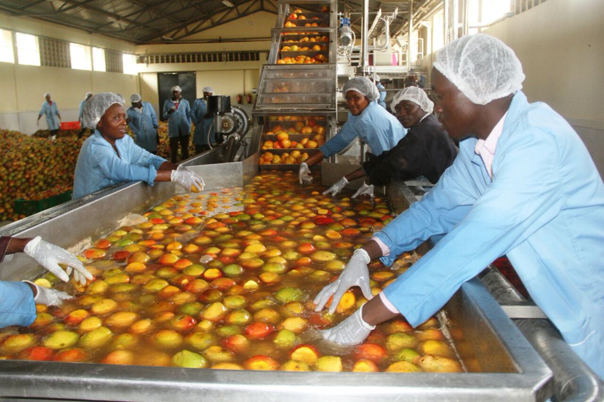 Zimbabwe 's Investor Guide 2026m :Agro Processing in Zimbabwe: Turning Agricultural Output into Export Revenue